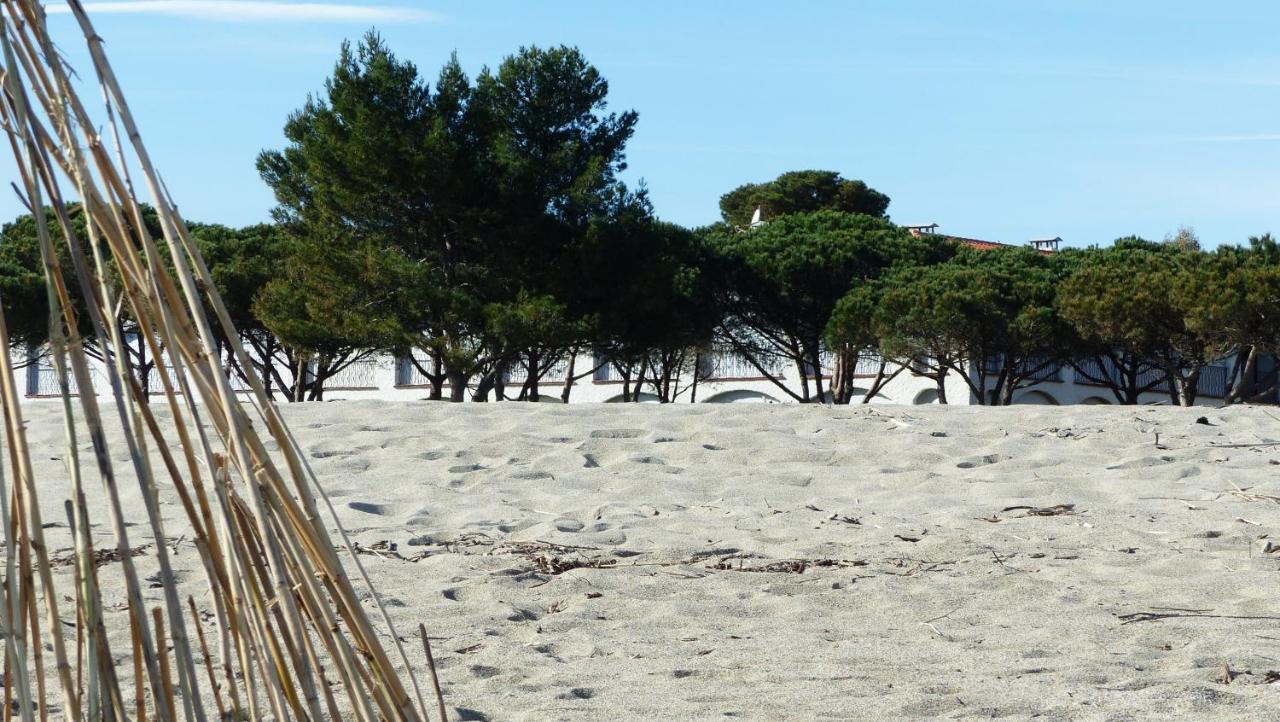 Belle Vue Sur Mer Au Calme Argeles-sur-Mer Bagian luar foto