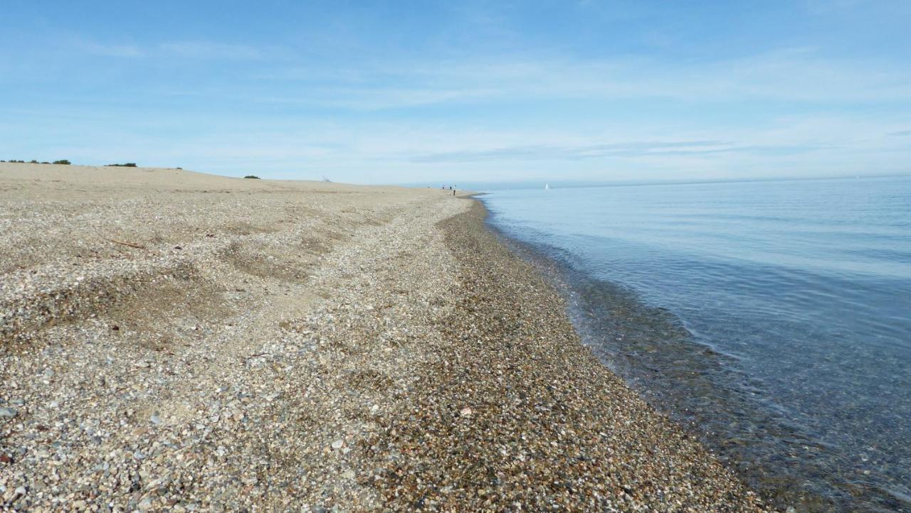 Belle Vue Sur Mer Au Calme Argeles-sur-Mer Bagian luar foto