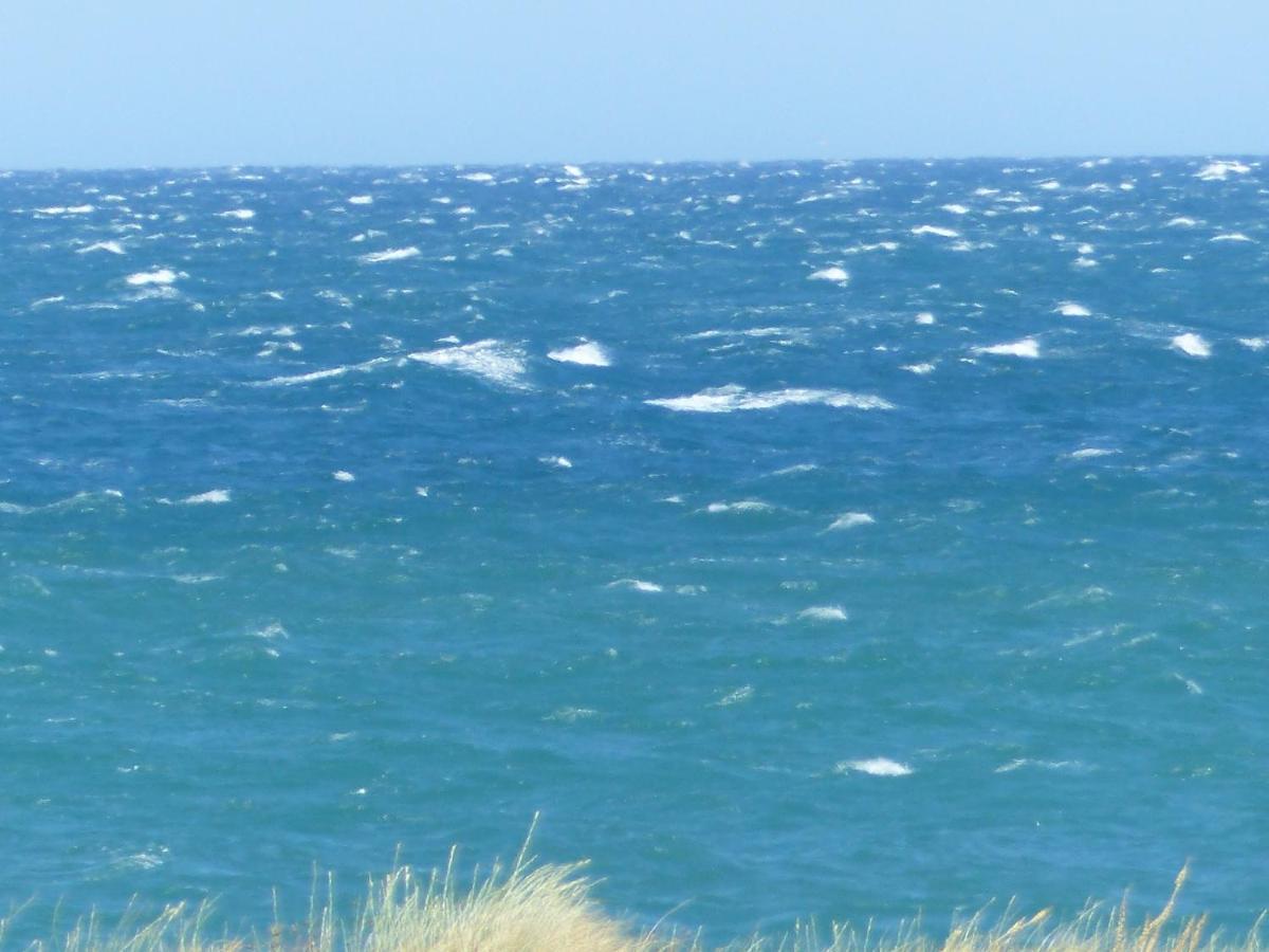 Belle Vue Sur Mer Au Calme Argeles-sur-Mer Bagian luar foto